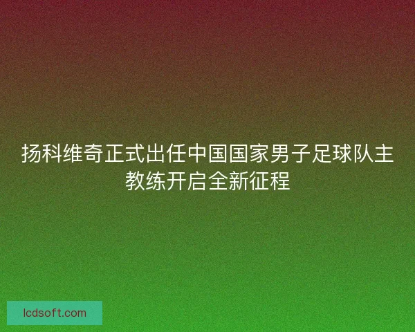 扬科维奇正式出任中国国家男子足球队主教练开启全新征程