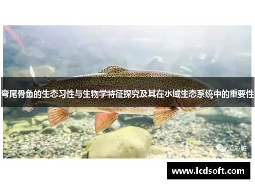 弯尾骨鱼的生态习性与生物学特征探究及其在水域生态系统中的重要性